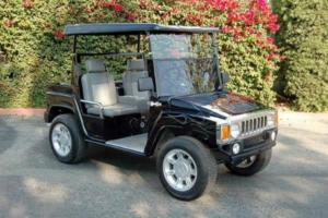 affordable golf cart rental, golf cart rent chicago